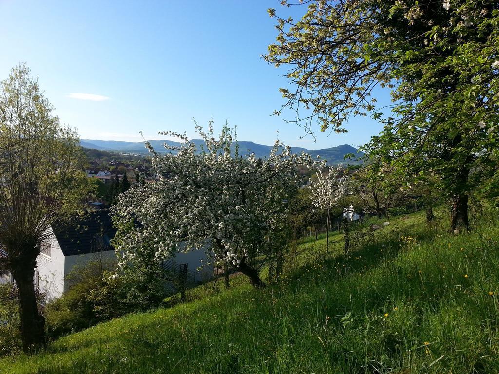 Teck-Apartment Kirchheim unter Teck Ngoại thất bức ảnh